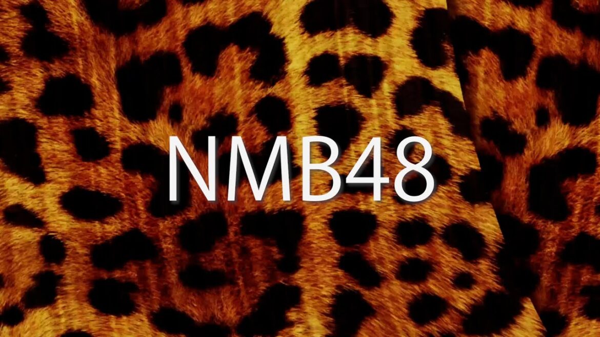 NMB48 メンバー紹介VTR (2023.01.30)