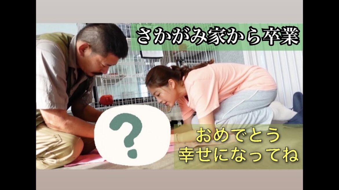 【里親決定】さかがみ家からの卒業。たくさんの癒しをありがとう!