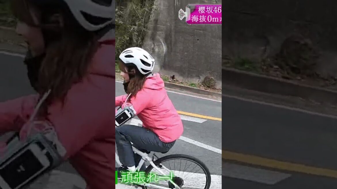 【守屋麗奈】一所懸命に自転車を漕ぎ、坂道を登る麗奈たんが愛おしいんだなん :)【櫻坂46】