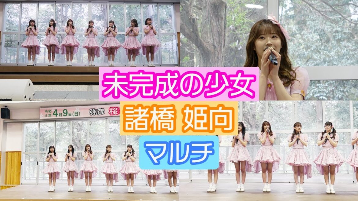 【4K LIVE映像】「やひこ桜まつり」 諸橋姫向推しカメラ マルチアングル