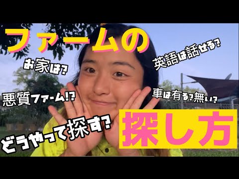 【ワーホリ🇦🇺】ファームの探し方を詳しく教えます🌟