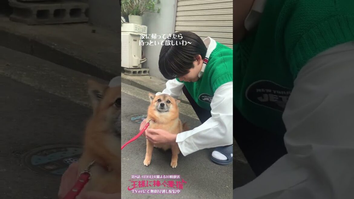 「👦🏻陸とネギの親睦会 🐶」 ロケの合間の2人をお届け🐾 #長尾謙杜 #王様に捧ぐ薬指 火曜よる10時【過去回はパラビで配信中】