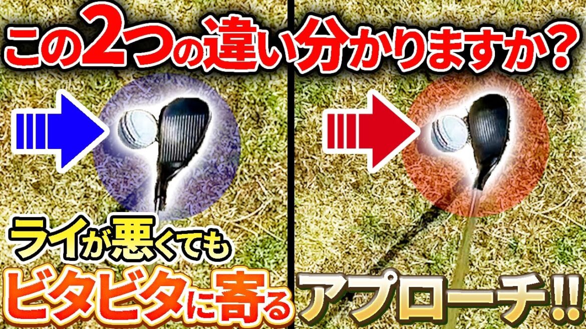 【必見‼︎】どんなライでもアプローチを簡単にする方法