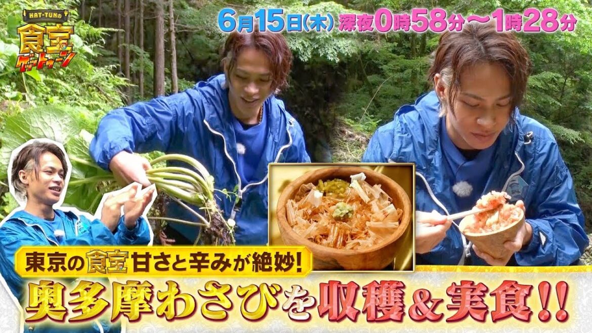 東京の食宝 奥多摩わさび!上田くんが収穫&実食!!『KAT-TUNの食宝ゲッットゥーン』6/15(木)【TBS】