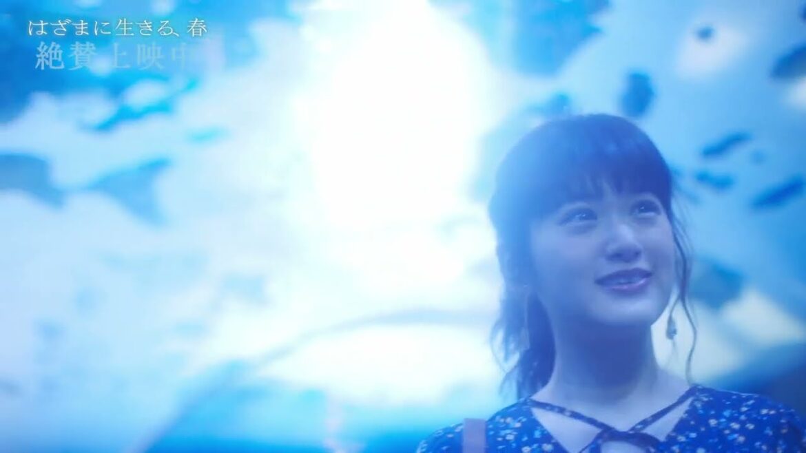 宮沢氷魚×小西桜子、映画『はざまに生きる、春』水族館での初デート&手をつないで眠りにつくドキドキのシーンも(本編映像)【2023年5月26日公開】