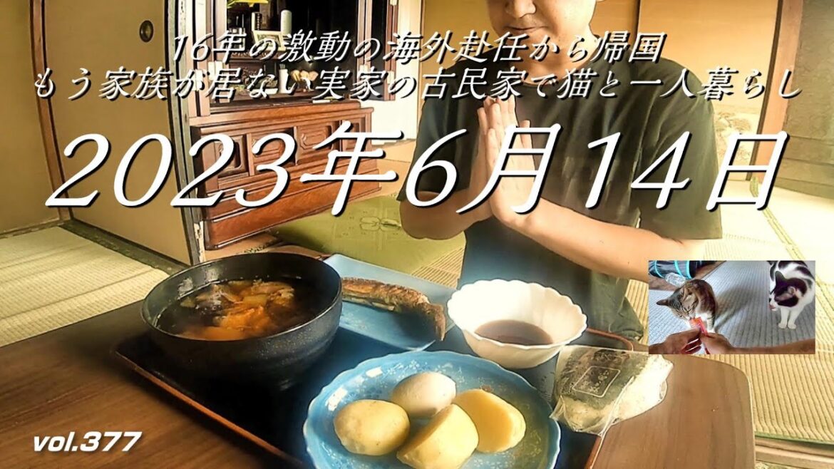 もう家族の居ない家/人生初、緊張感の中、ブザーが鳴る/16年の激動の海外赴任から帰国、もう誰も居ない実家の古民家で保護猫と一人田舎暮らしの日常日記。群馬県邑楽町。【フカセンvlog377】