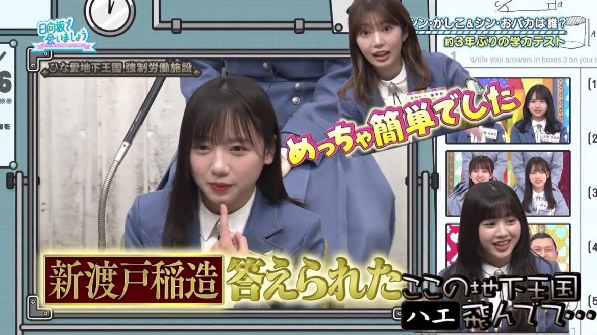 【ひなあい#203】地下王国の皆様【日向坂46】【日向坂で会いましょう】