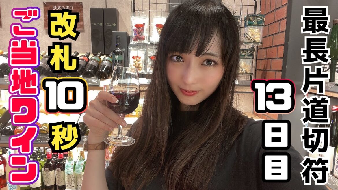 富士山ざんまい!御殿場線&身延線で食に酒に山梨大満喫♡【最長片道切符の旅#21】