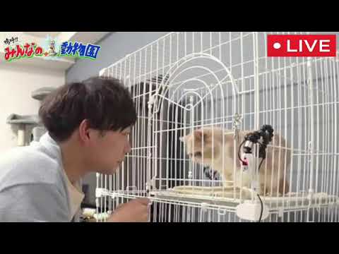 【見逃し配信】嗚呼みんなの動物園6月17日<むぅちゃん/フル無料/tver>2023年6月17日放送分 FULL