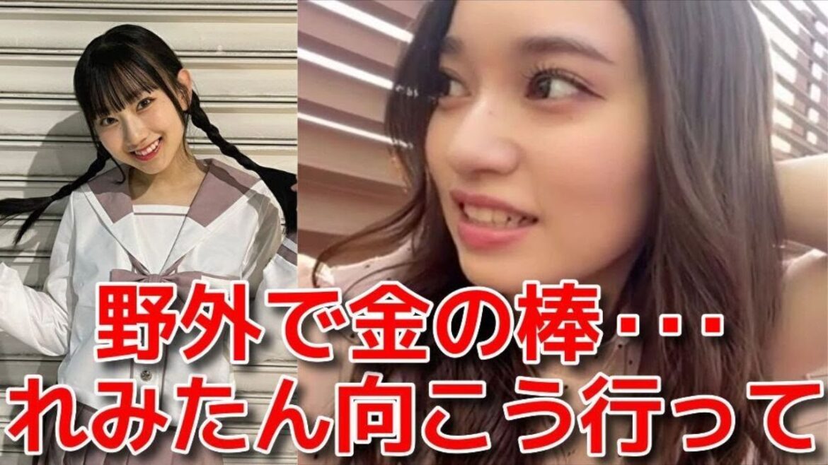 【奥原妃奈子】 徳永羚海との配信中に虫に襲われて、壇上読みで事件が起きる 【AKB48】