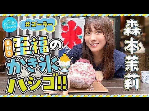 【ゴーラー】森本茉莉のかき氷屋さん巡り