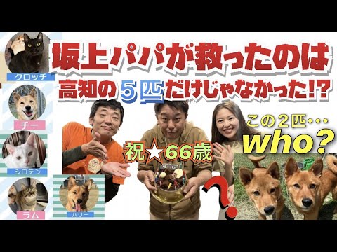 【坂上パパもびっくり】チーとハリーに激似な子犬の正体は!?