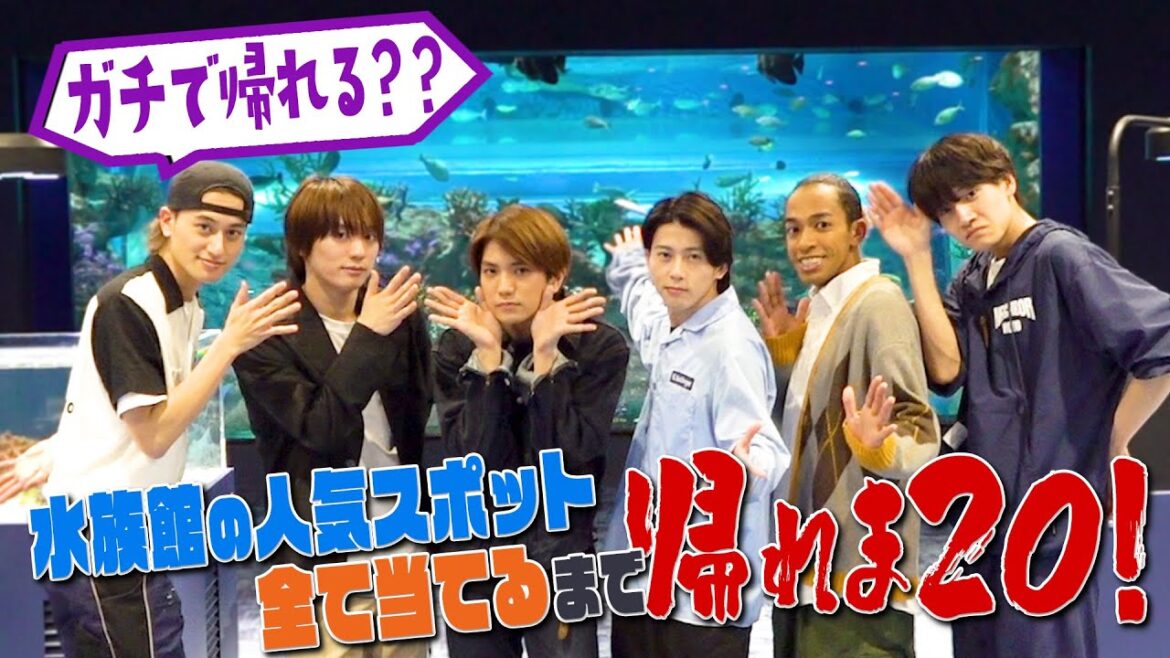 Aぇ! group【水族館で帰れま20!!】末澤誠也…念願の企画 笑笑