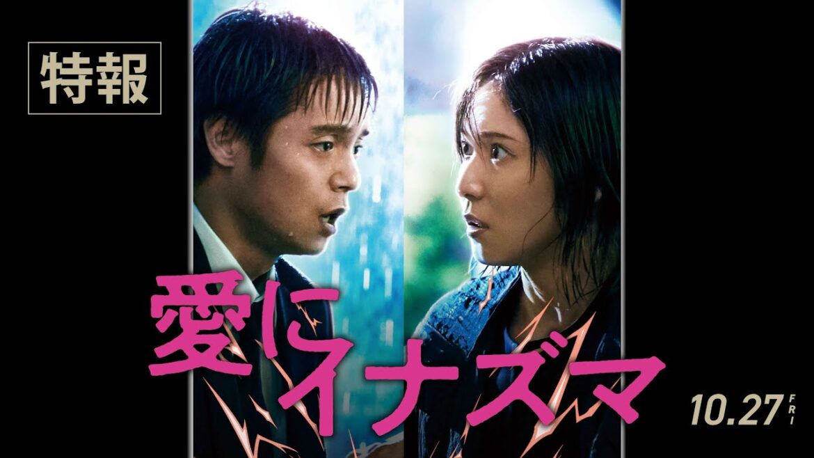 松岡茉優&窪田正孝W主演『愛にイナズマ』特報 (10/27公開)