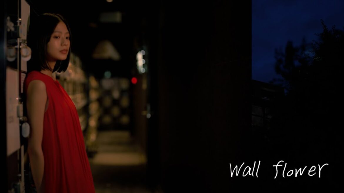 Transistory Project『Wall flower』MUSIC VIDEO 第6弾