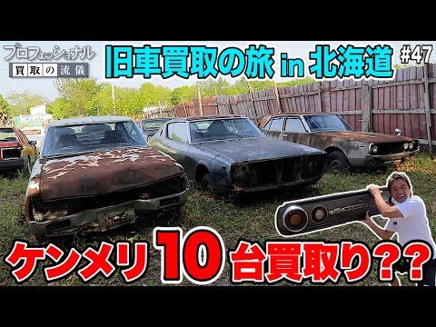 合計購入金額(秘)万円… 北海道を駆け回り旧車を買取りまくる!!土に埋まった宝の山も発見!!ケンメリ・ハコスカ・ジャパン・カマロ・セドリック…登場!! #47