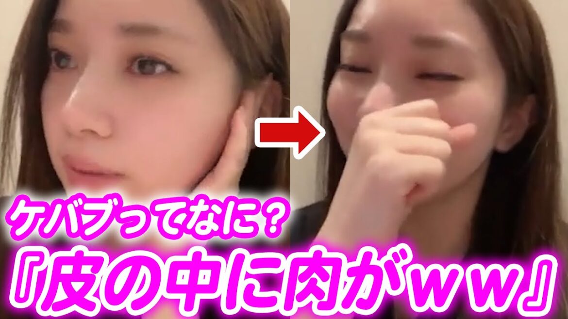 ケバブの説明で即システマ AKB48 奥原妃奈子