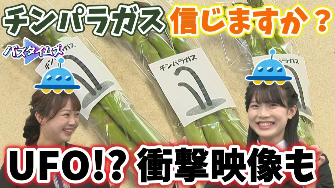 「チンパラガスを信じますか?」 規格外品をユニークにPR UFO記念日にまさかの衝撃映像!?<バズタイムズ>