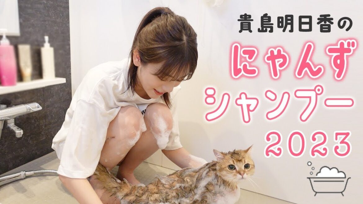 年イチのにゃんずシャンプー!3匹の猫をお風呂に入れる独身女性のあすかさん
