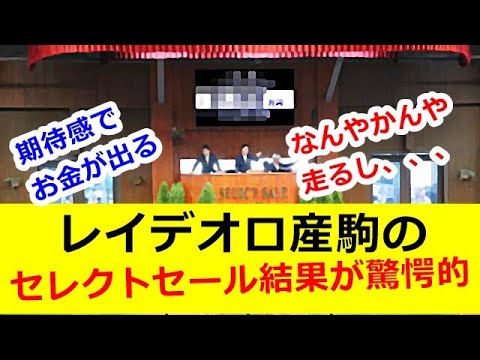 レイデオロ産駒のセレクトセール結果が驚愕的!!【競馬の反応】
