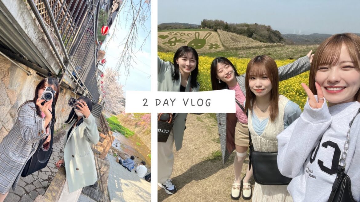 【Vlog】淡路島旅行2日目!ほのぼのドライブ🚗💭