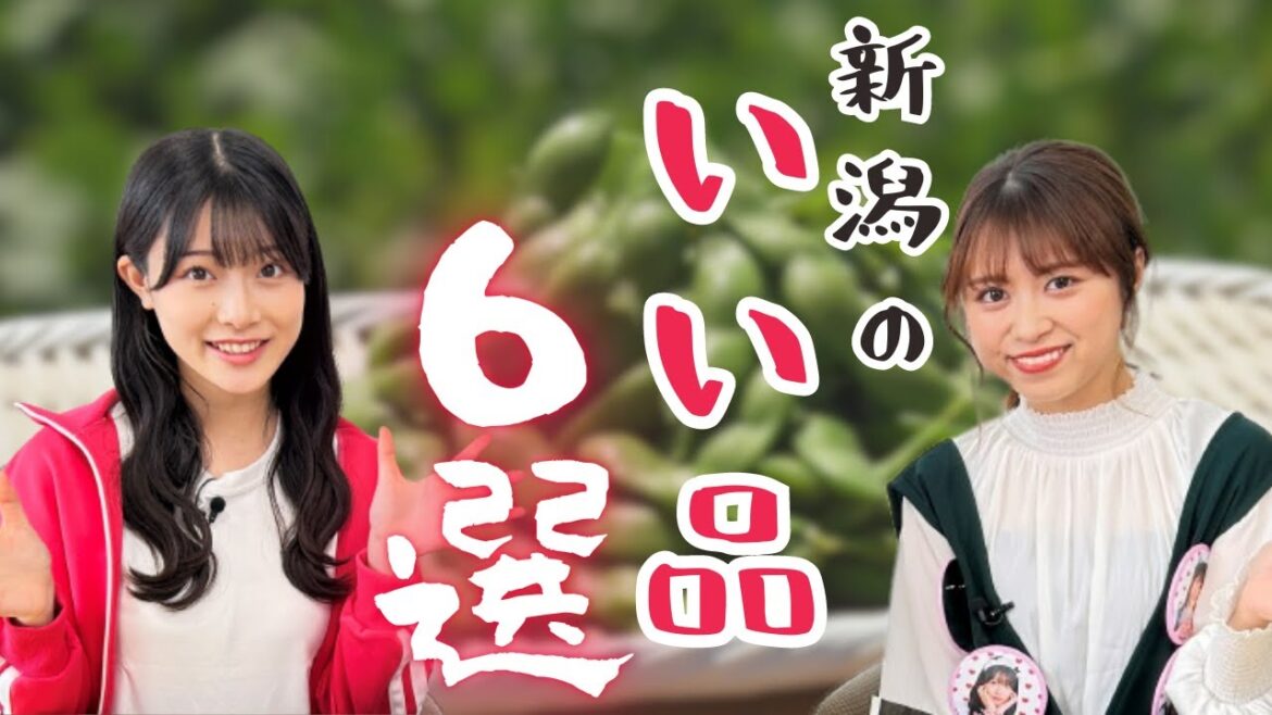 【名物】枝豆は新潟県民大好物! 新潟のいい品6選をNGT48小越春花が食べまくる! ピンチヒッター桶屋美圭アナも登場