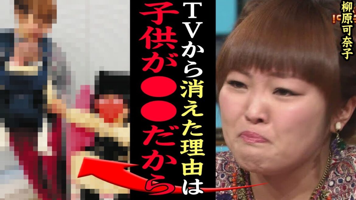 【衝撃】柳原可奈子がTVから消えた”本当の理由”に思わず涙が止まらない…ギャル店員のモノマネなどで名を馳せた芸人が”干された”と誹謗中傷を受けてまで守りたかったものに一同沈黙【芸能】