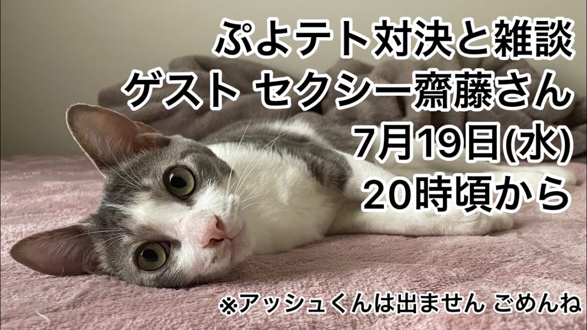 【第4回生配信】ぷよテト対決と雑談 ゲスト セクシー齋藤さん【佐々木琴子】
