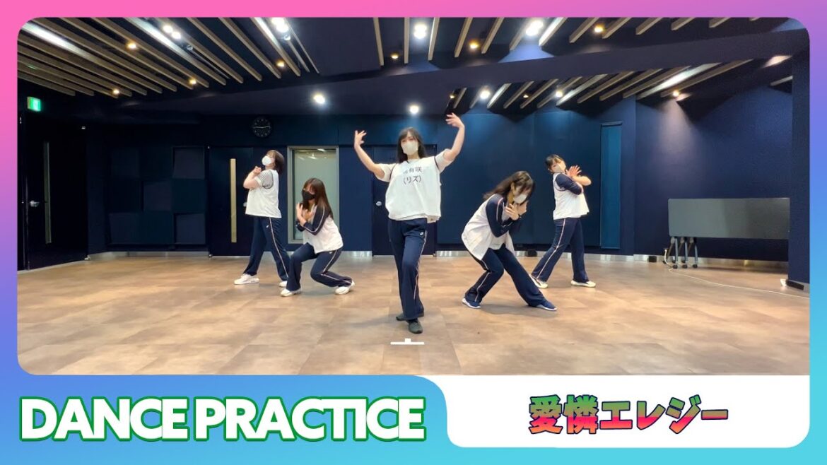【Dance Practice】愛憐エレジー – チームロック 【ダンスプラクティス】【Alleles Project】