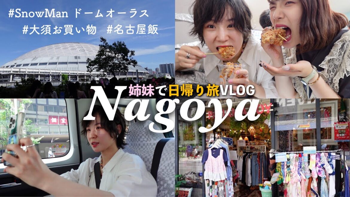 【VLOG】姉妹で名古屋日帰り旅🌻SnowMan様に会いに行くの巻!