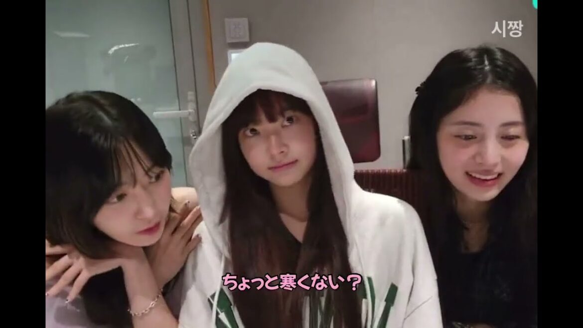 (日本語) 🌸🌸宮脇咲良 ”私だけ寒いの?” kkura is freezing 사쿠라 230723