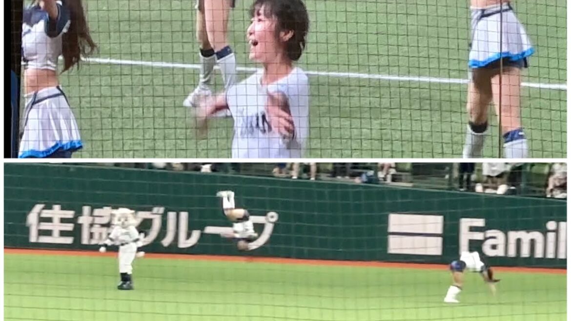 【今夜はバク宙も!】ライナ、bluelegends、惣田紗莉渚さんによる『吠えろライオンズ』【西武vsロッテ】2023/7/26