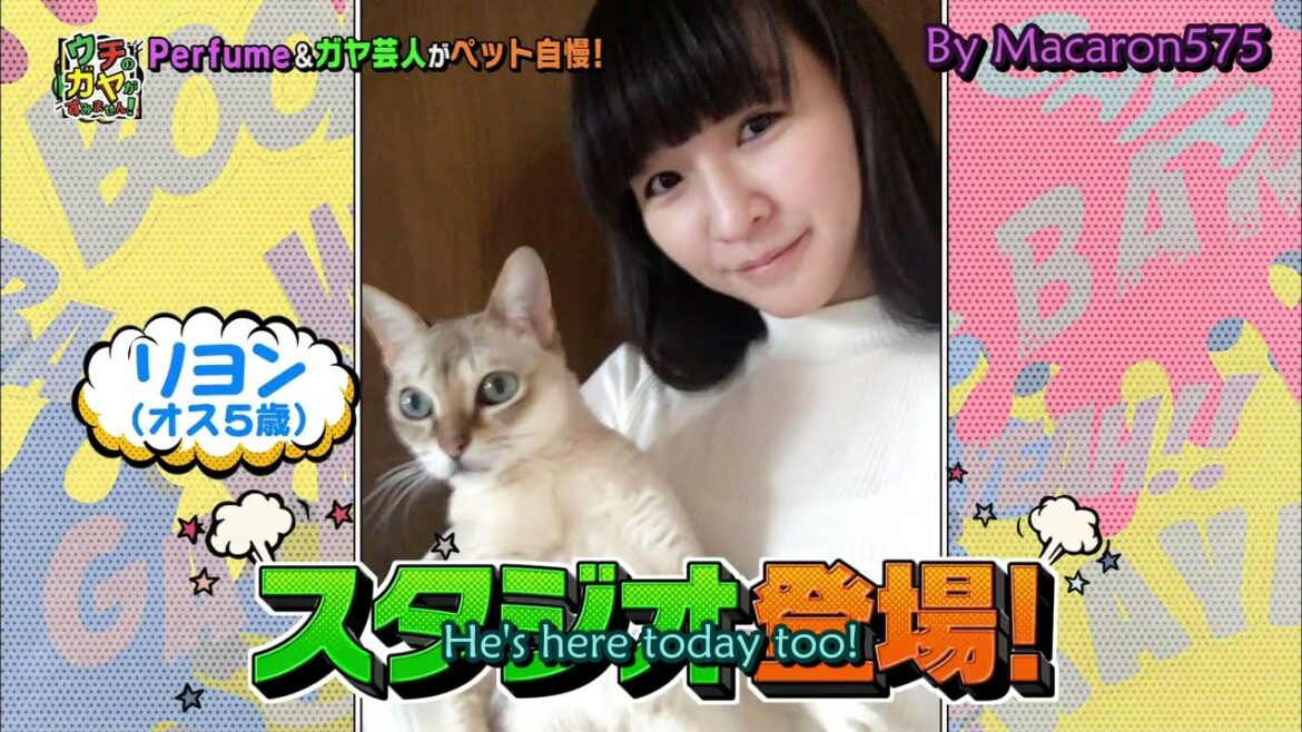 -English Subs- 2018.08.14 Perfume’s pets: Popotan and Lyon’s first TV appearance
