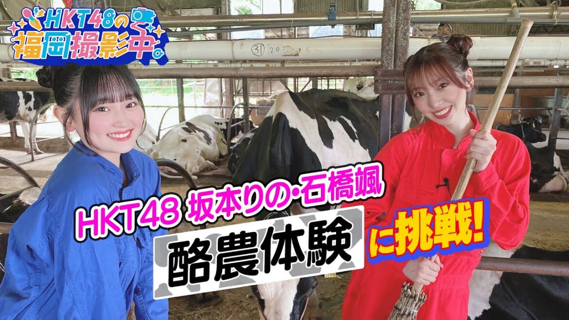 【農林漁業体験ツアー】HKT48のメンバーが酪農体験に挑戦!【HKT48の福岡撮影中。】