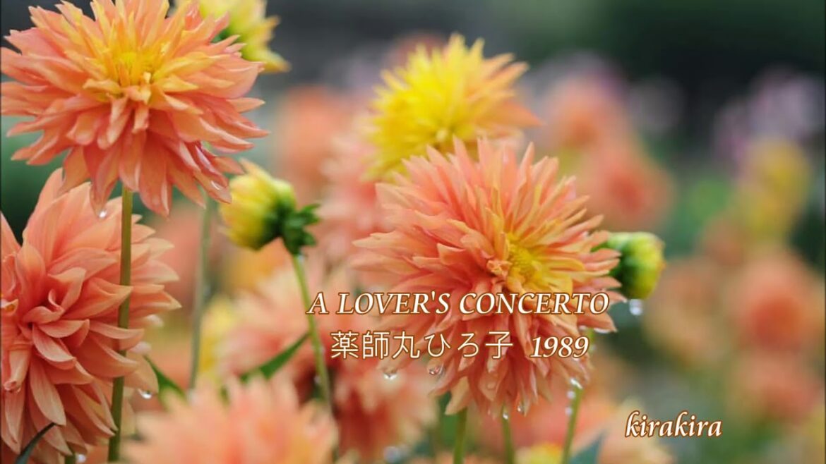 薬師丸ひろ子 ♫ A LOVER’S CONCERTO#洋楽のカバー