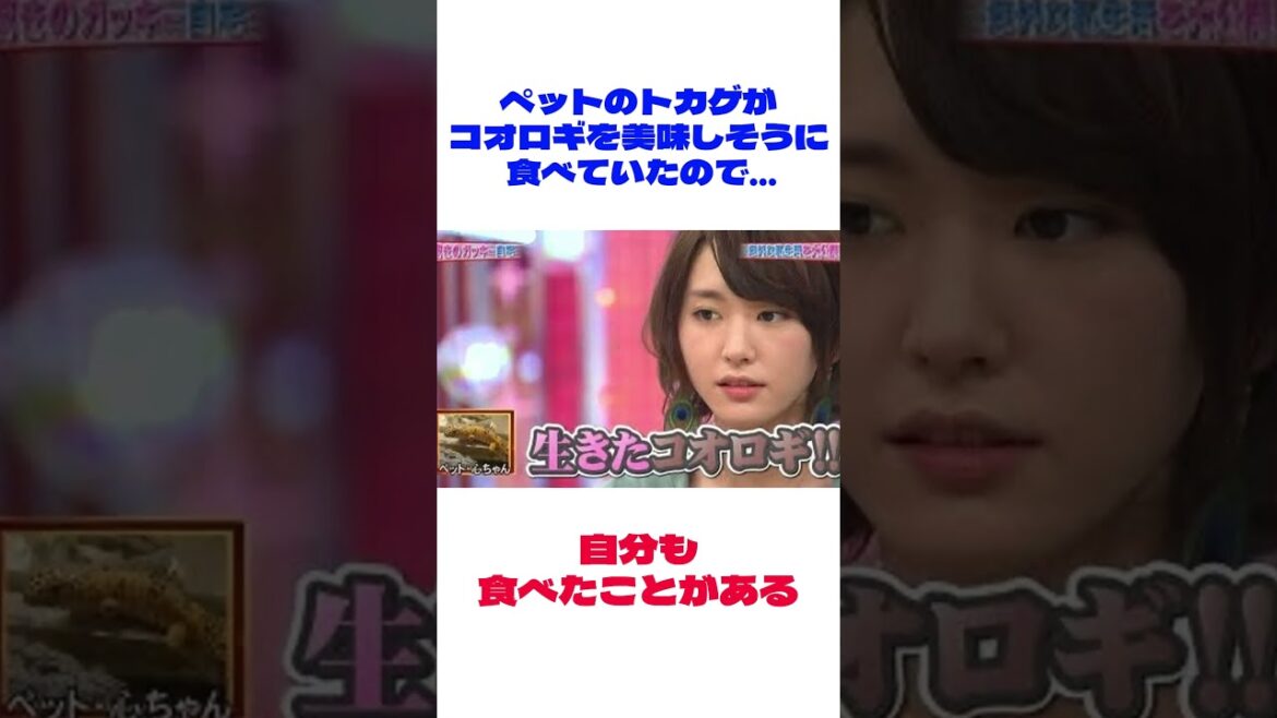 新垣結衣さんの面白雑学