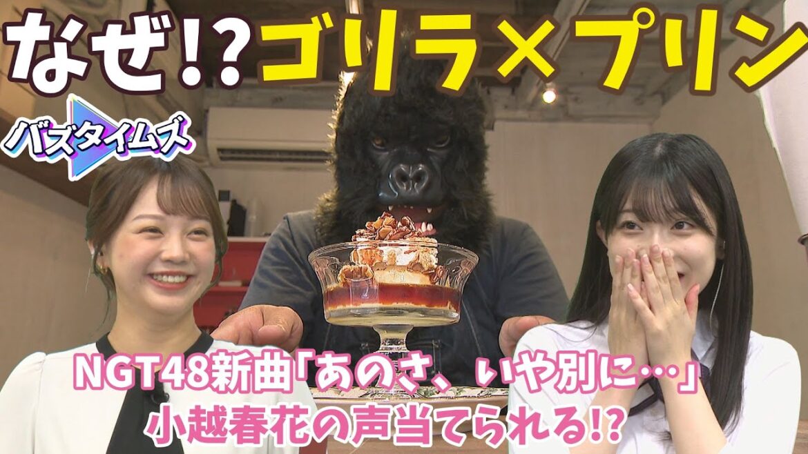 【プリン】お店に立つのは卵愛が強い「ゴリラ」 NGT48中井りか卒業前ラストシングル「あのさ、いや別に・・・」小越春花が長谷川アナに歌詞クイズ<バズタイムズ>