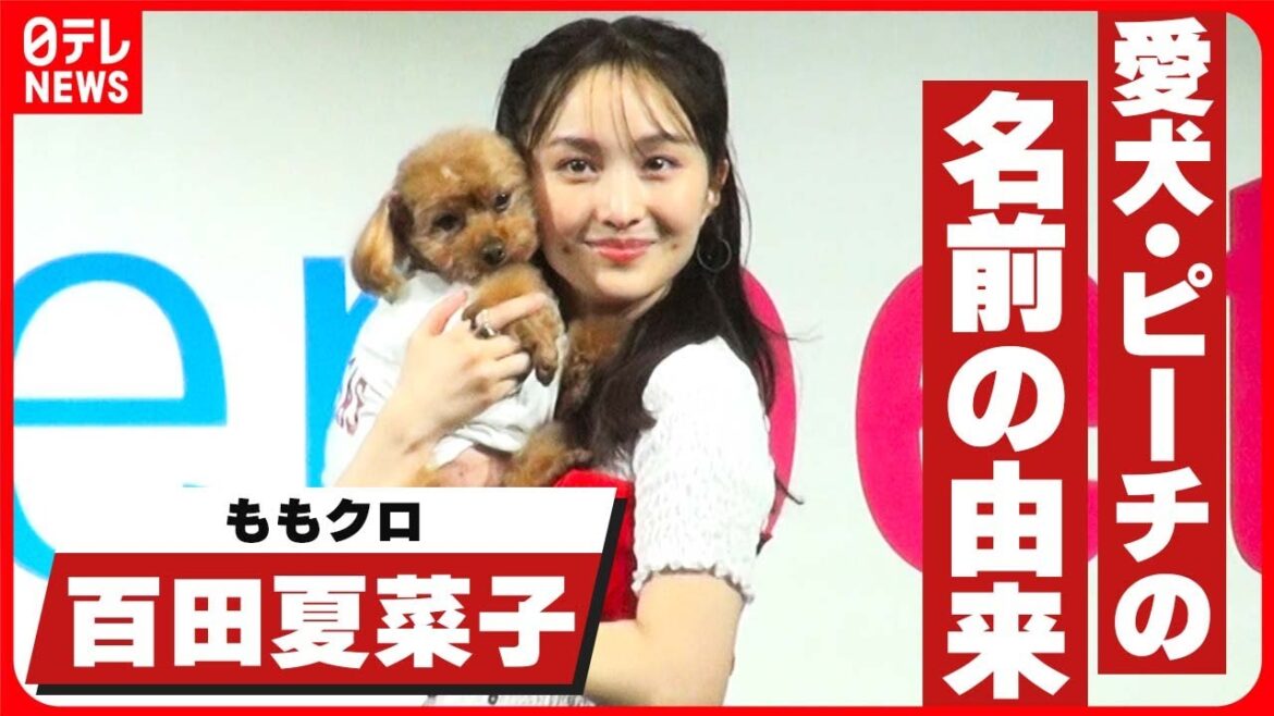 【ももクロ・百田夏菜子】「最初は“ピーチ”だった」メンバーのペットの名前で起きた奇跡