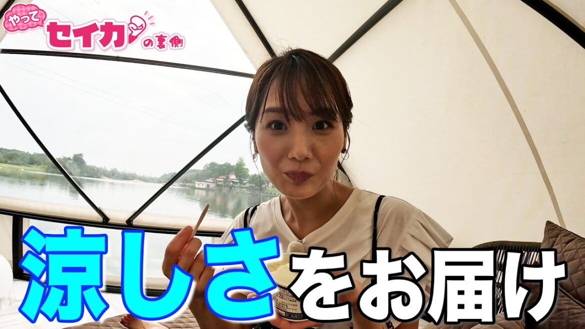 暑い夏に”涼”スポットで「涼しい動画」を撮るぞ!!【セイカの裏側56】