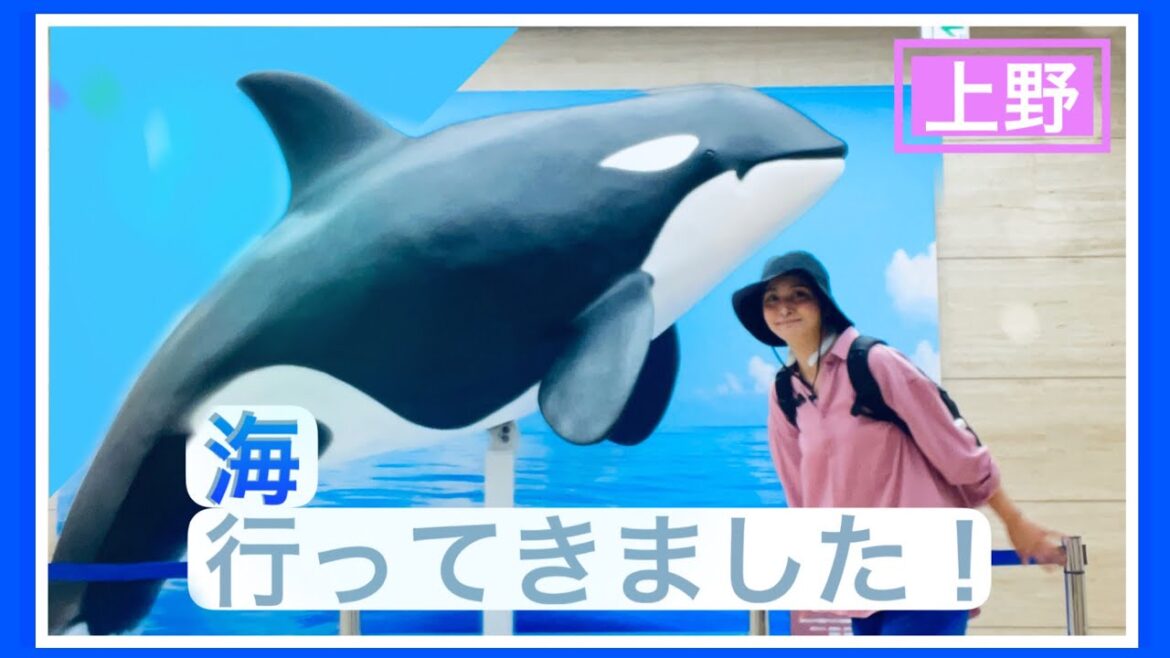 特別展「海」行ってきました。少しでも涼しさをお届け!