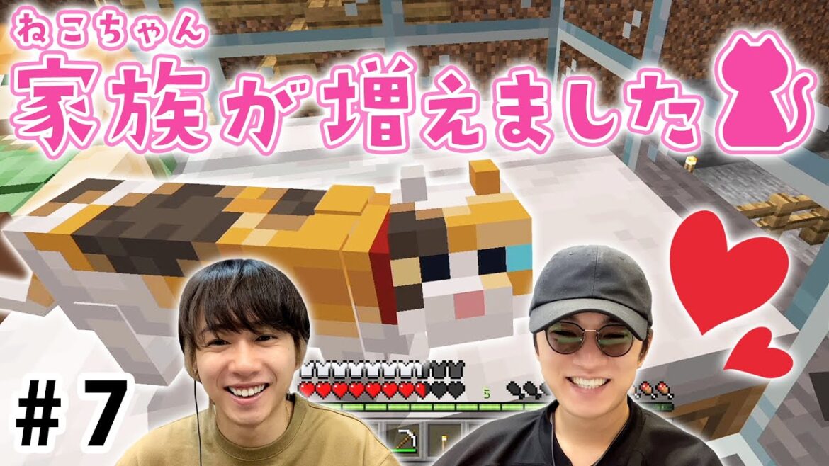 神山メロメロ!可愛い猫ちゃんが家族になりました【カミヤマイクラ】#7
