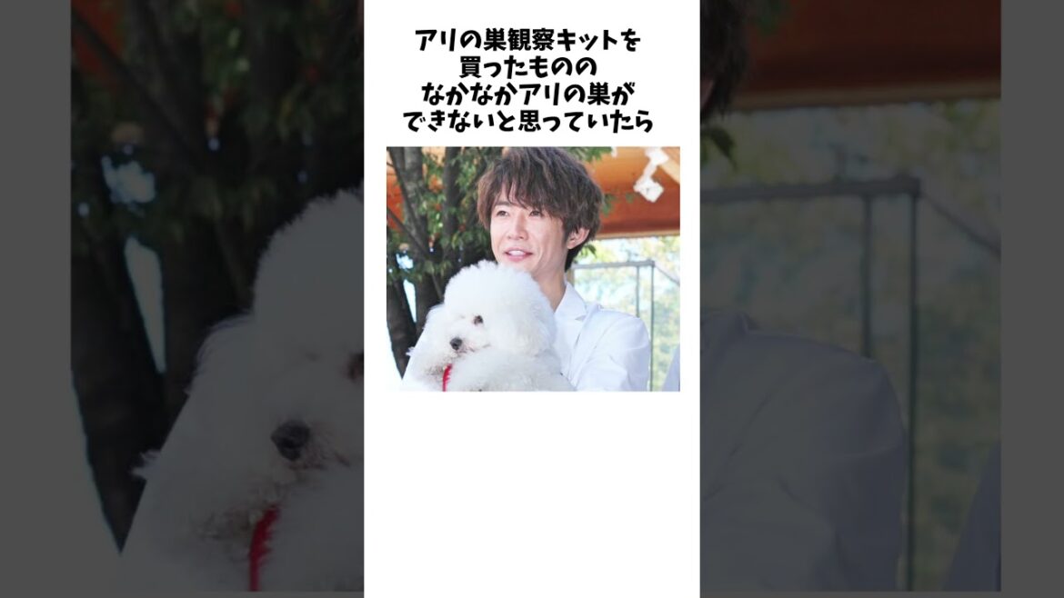 相葉雅紀に関する雑学wwww#shorts