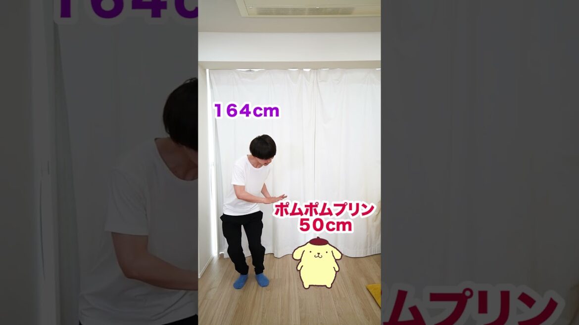 サンリオのキャラと身長比べてみたwww funny video 😂😂😂 #shorts