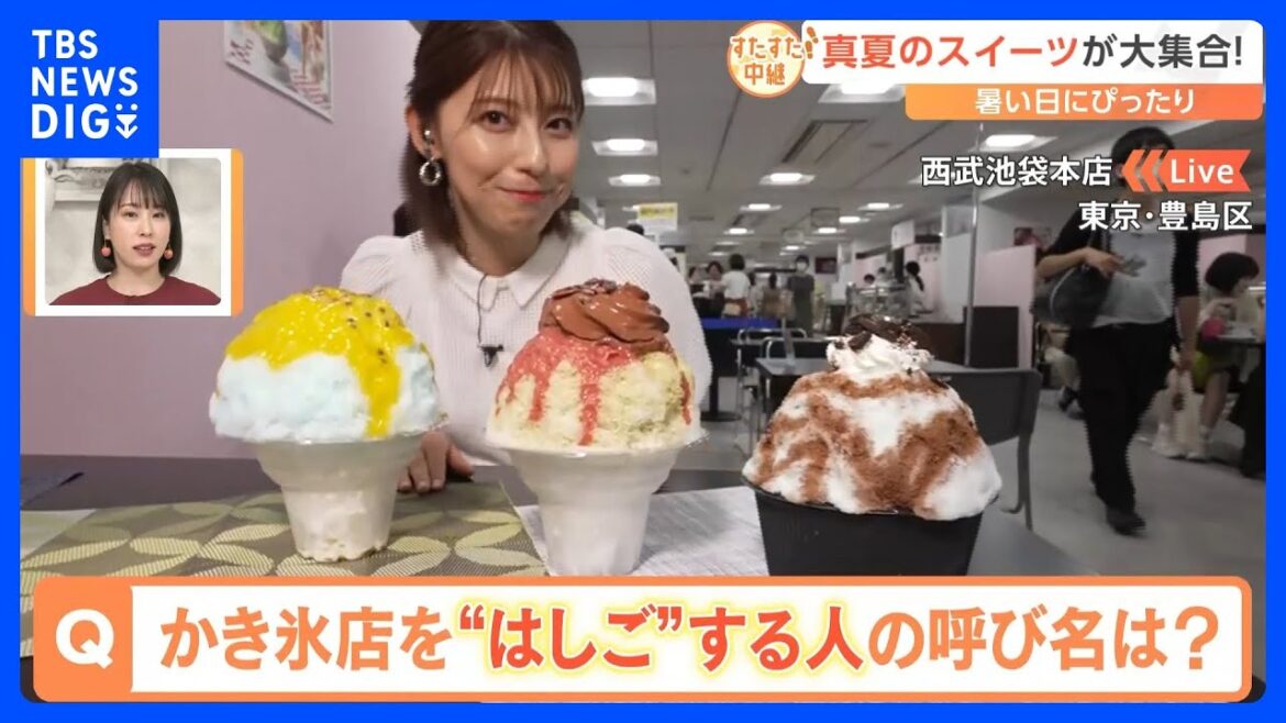 暑い日にぴったりの「真夏のスイーツ」が大集合!かき氷極める「ゴーラー」ってどんな人?韓国で話題の「クロッフル」って?絶品求めてすたすた中継!|TBS NEWS DIG