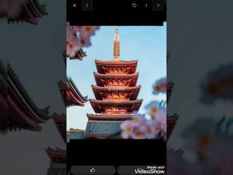 ふたり酒(ざけ) 唄 岩佐美咲(いわさみさき) フルコーラス