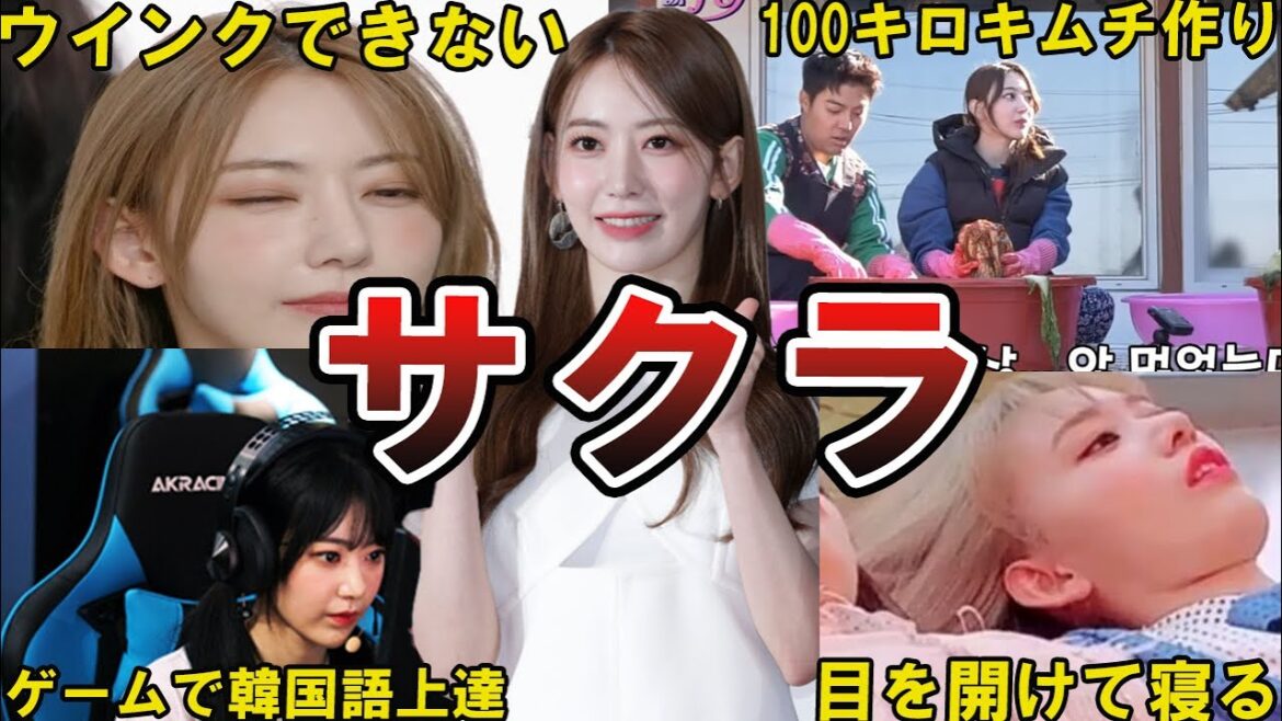 【LE SSERAFIM】サクラの面白エピソード50選 #サクラ #宮脇咲良 #lesserafim #sakura #사쿠라 #르세라핌