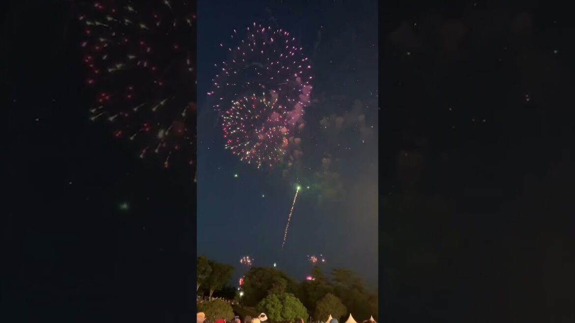 apbankfes2023よりー夏を締めくくる花火 #Shorts #渡部篤郎 #夏の思い出