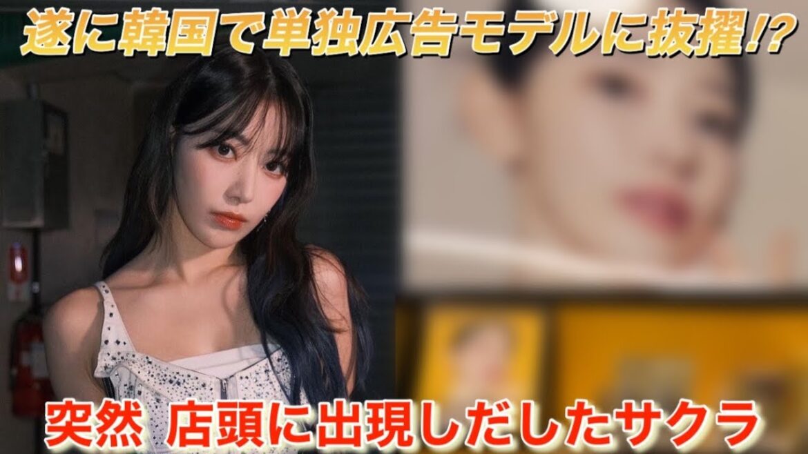 【LE SSERAFIM】ルセラフィムの宮脇咲良が●●の広告モデルに抜擢⁉︎ MVのディーザーでも『クラウンズ』好きのファンのテンションアップ【UNFORGIVEN】