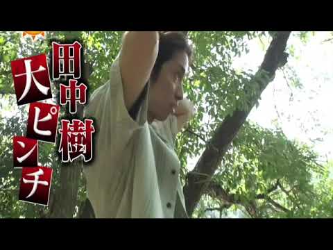 🔴生配信 帰れマンデー見っけ隊8月21日<群馬 尾瀬/SixTONES田中樹/上原浩治/ストーンズ>2023年8月21日放送分 FULL