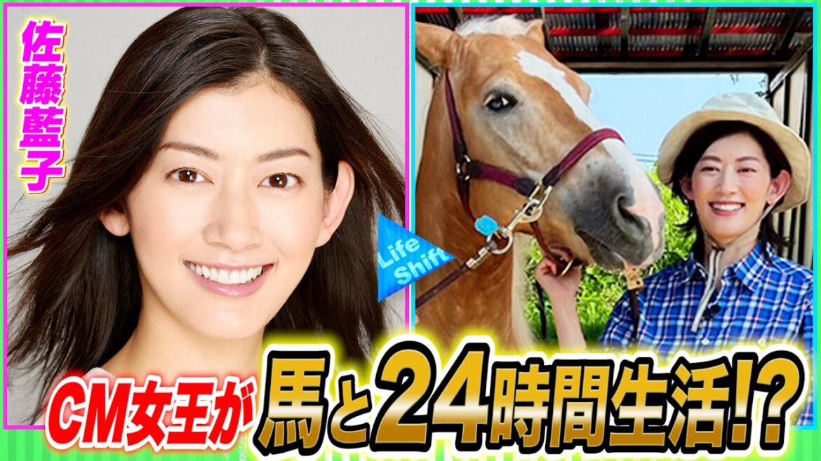 佐藤藍子が馬と24時間生活…一体何が!?